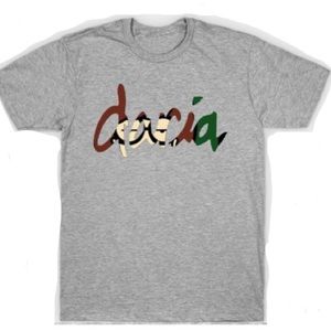 NEW Women’s DARIA short sleeve Grey XL tee